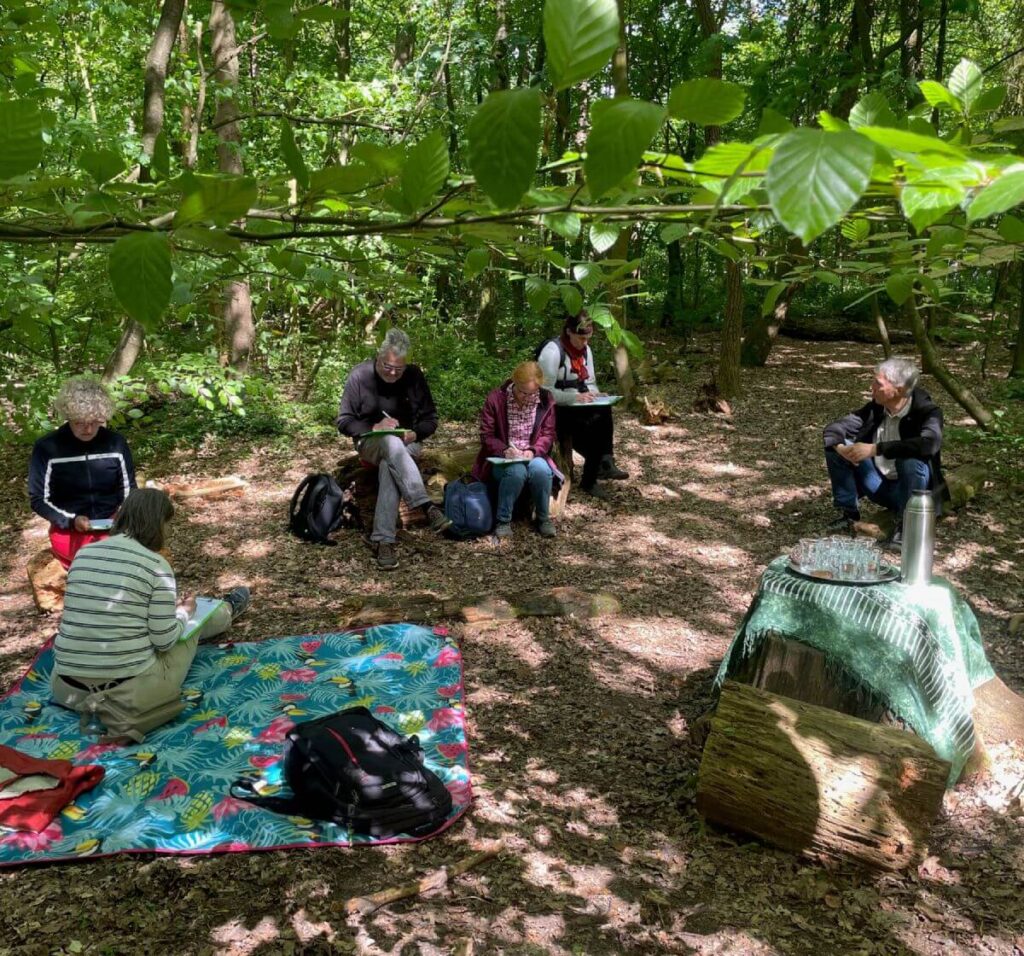 Waldtherapie Hamburg Gruppe von Menschen im Wald